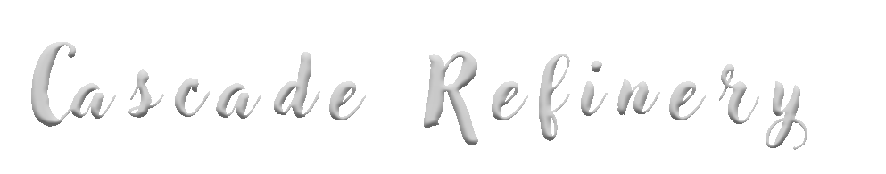 Charlotte NC Pawn Shop